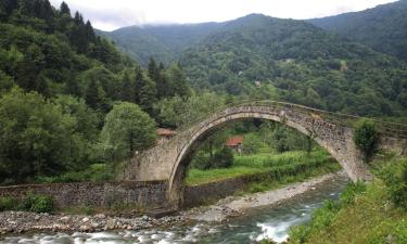 Chaty v destinaci Çamlıhemşin