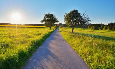 Hotels mit Parkplatz in Amorbach