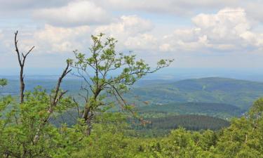 Parkolóval rendelkező hotelek Hattersheimben