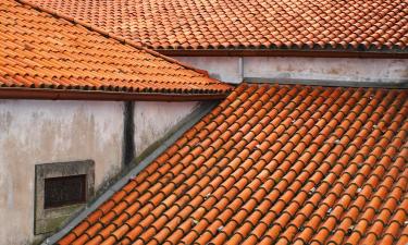 Cottages in Vila Flor