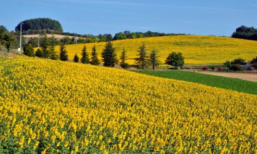 Hoteles familiares en Giroussens