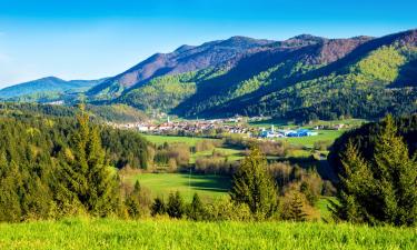 Готелі з парковкою у місті Ribnica