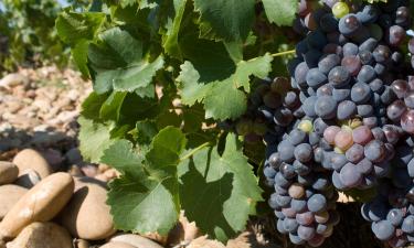 10 Best Chateauneuf Du Pape Hotels France From 122 10 Best Chateauneuf Du Pape Hotels France From 122