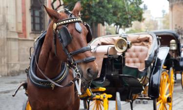 Hoteles con parking en Camas