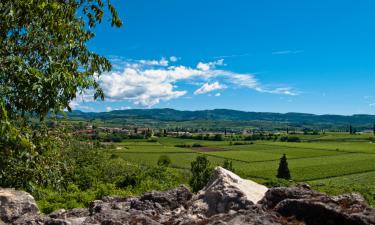 B&Bs in Pescantina