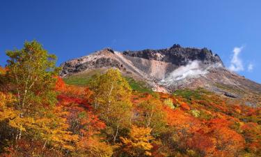 Cottages in Nasu-yumoto