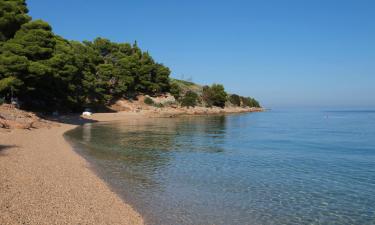 Medveja şehrindeki tatil evleri