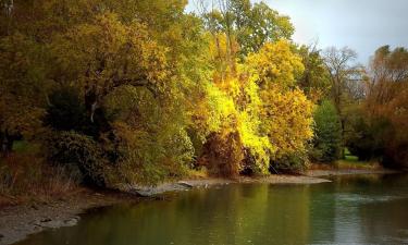 Hoteli s parkiriščem v mestu Big Rapids