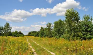 Pigūs viešbučiai mieste Skierniewice