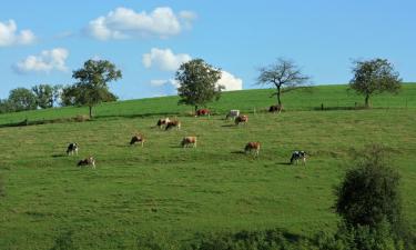 Hoteles en Bascharage