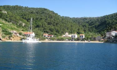 Beach rentals in Stiniva