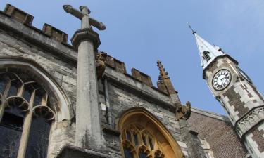 Cabañas en Winterborne Abbas