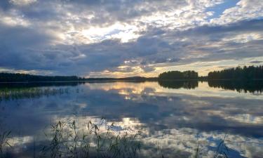 Дома для отпуска в городе Karttula