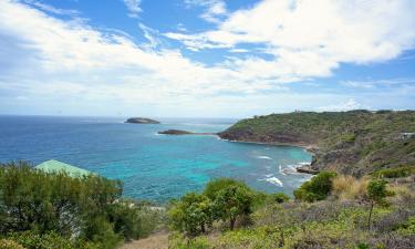 Holiday Homes in Pointe Milou