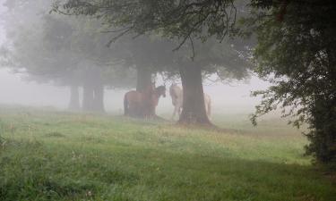 Hoteles en Eppe-Sauvage