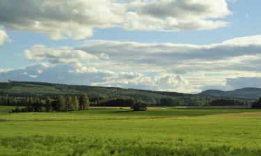 Långshyttanの駐車場付きホテル