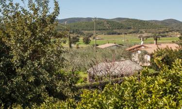 Holiday Rentals in Casa Mora