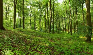 Holiday Rentals in Höhn