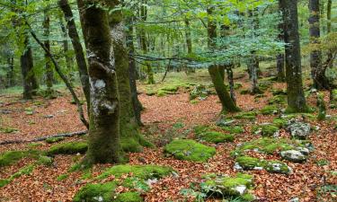 Auberges de jeunesse à Zamudio