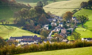 Cottages in Llanarmon