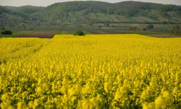 Family Hotels in Rauchwart im Burgenland