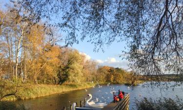 Beach rentals in Kolpinsee