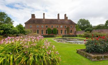 Hoteles que aceptan mascotas en South Petherton