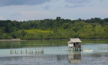 Hoteles en Tagbilaran City