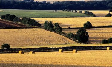 B&Bs in Shipston-on-Stour