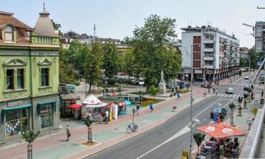 Hoteluri ieftine în Mladenovac