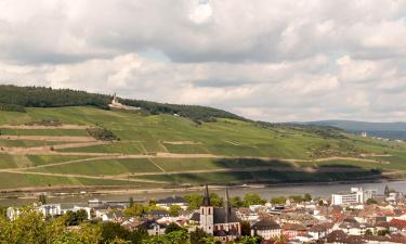 Hoteles económicos en Rüdesheim