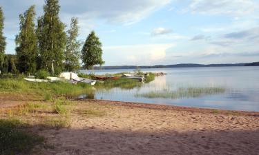 Готелі, де можна проживати з хатніми тваринами у місті Kivijärvi