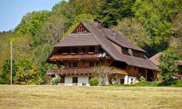 Apartments in Eisenbach