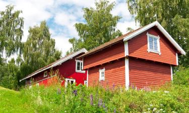 Loma-asunnot kohteessa Tingvatn