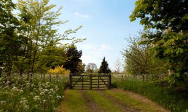 Cottages in Dersingham