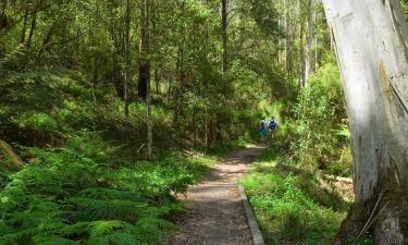 Hoteller i Dandenong