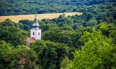 Vacation Rentals in Bér