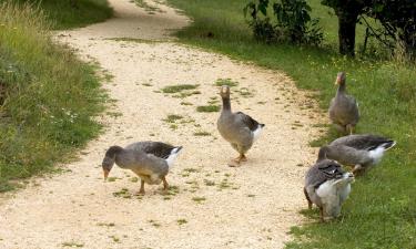 Hoteller med parkering i Mauzens-et-Miremont