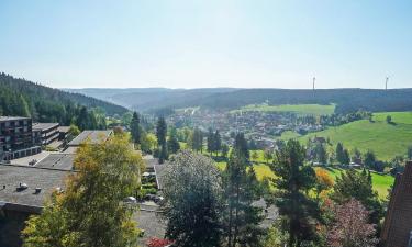 Hoteles con estacionamiento en Obertal