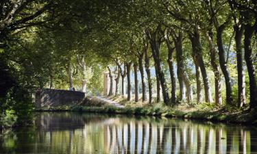 Bed and Breakfasts en Trèbes