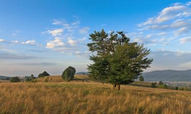 Family Hotels in Semenic