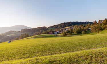 Familiehoteller i Podmelec