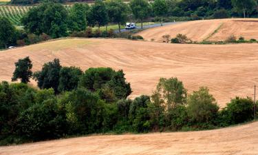 Hotels amb aparcament a Pécharic-et-le-Py