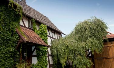 Hoteles con estacionamiento en Gonterskirchen