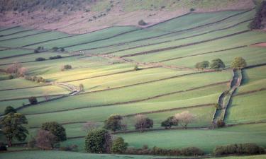 Cottages in Lealholm