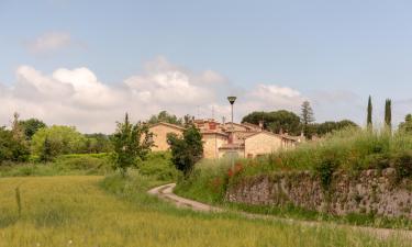 Holiday Rentals in Valli