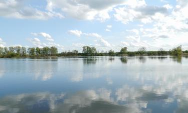 Отели с парковкой в городе Ramin