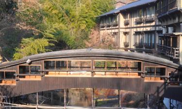 Properties with Onsen in Minamioguni