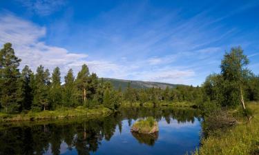 Slidinėjimo kompleksai mieste Ljusnedal