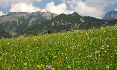 Ski Resorts in Blankenburg